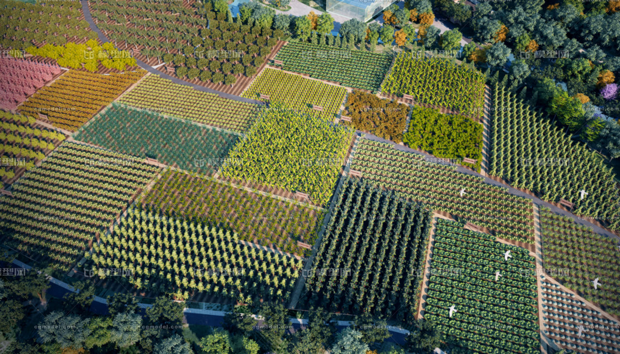 農業培育與農田旅游 自然場景的新融合