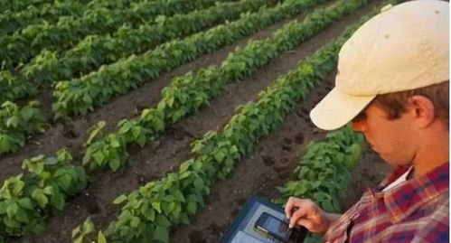 精準農業的5種模式 建議農人們了解一下，助力農業種植提質增效