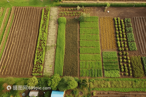 可持續農業 一幅農業培育的立體畫卷