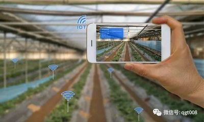 江蘇省數字農業農村工作要點發布，農業培育迎來新機遇